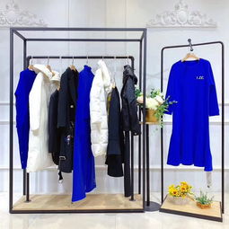 女裝折扣加盟與虎門網(wǎng)紅同款女裝貨源市場分析 鞋帽零售新機(jī)遇